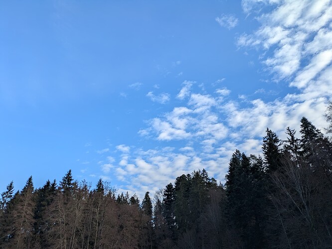 PXL_20251217_094320536