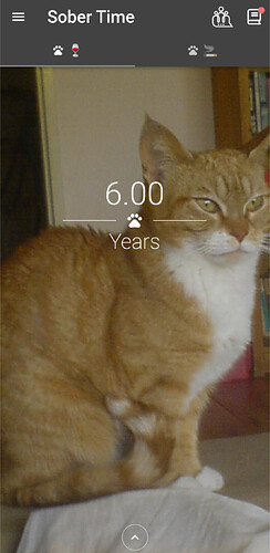 Screenshot_20250607-225351