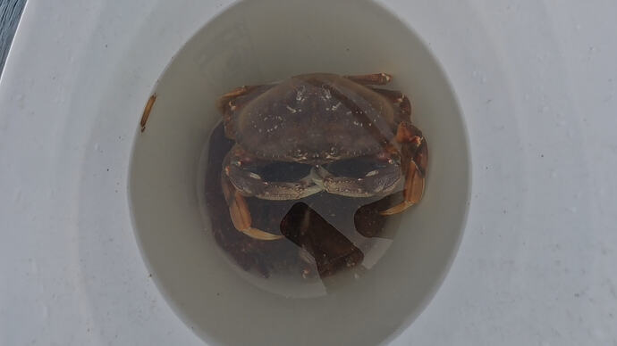 VID_20260307_172028_00_003_2026-04-12_03-09-34_screenshot