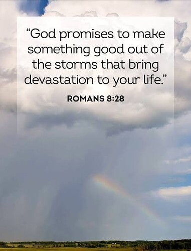 images (15)_edit_273222103072823