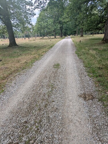 PXL_20250710_102828818