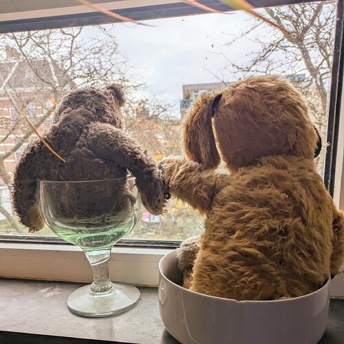 PXL_20251104_071931855~2