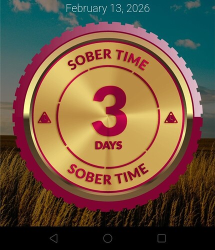 Screenshot_20260213_172055~2