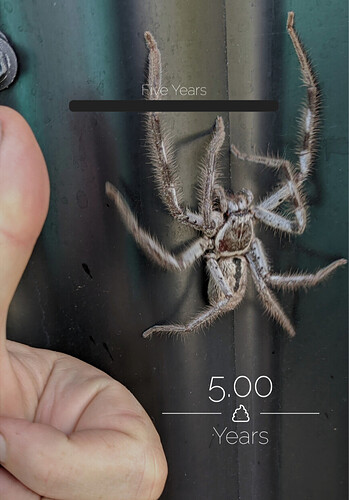 Screenshot_20240509-063927