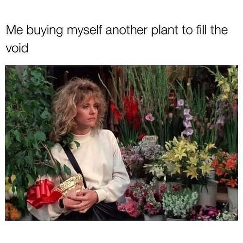 Tumblr_l_413970547897674