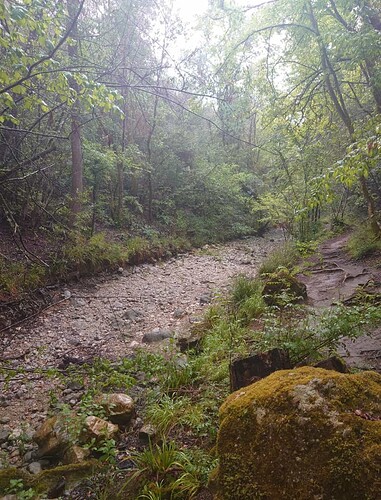 Screenshot_20230501-140726~2