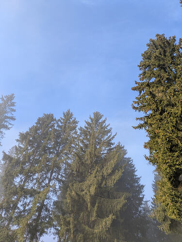 PXL_20260207_075744263
