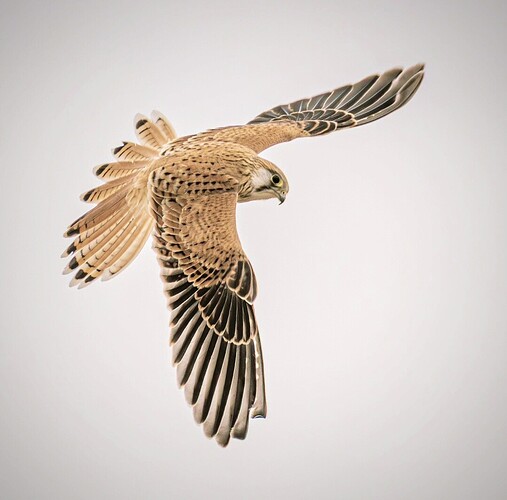 Screenshot_20260204_182253_Instagram