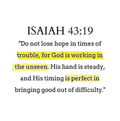 e054f86e18ec3c19dd8c668259456332