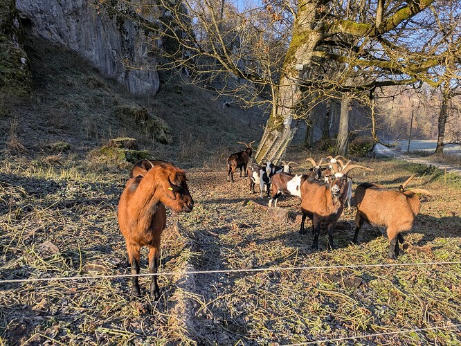 PXL_20251122_084319581