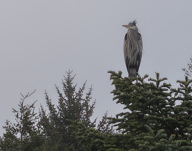 DJI_20260307165444_0361_D