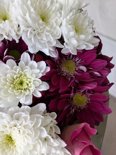 PXL_20250524_083642792