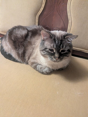 PXL_20260318_024609650