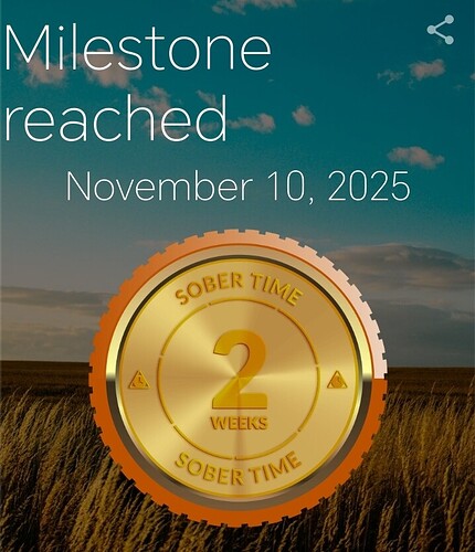 Screenshot_20251110_100122_com_sociosoft_sobertime_MainActivity