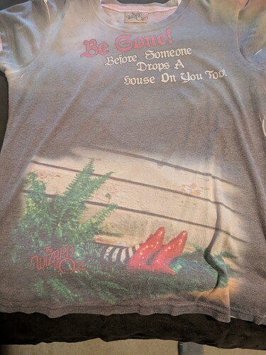 PXL_20250727_135223310