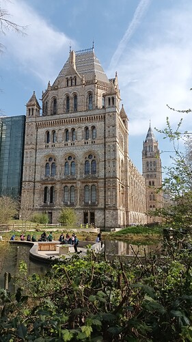 IMG_20250404_123048_588