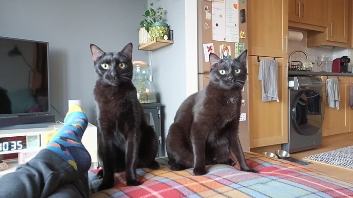 IMG_20250123_103348_613