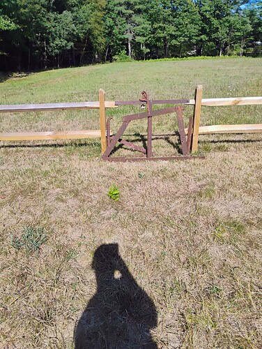 IMG_20250901_094927720_AE