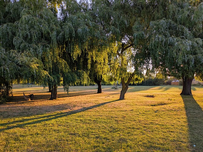 PXL_20250708_044725379~2