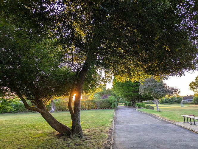 PXL_20250708_043226412~2