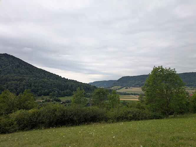 PXL_20260708_083952613