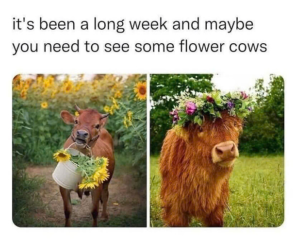 Tumblr_l_13760971505546