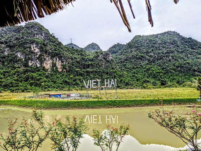 PXL_20251102_032852996~2