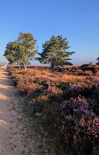 PXL_20250815_054637599