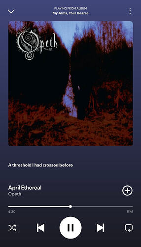 Screenshot_20260731_172319_Spotify