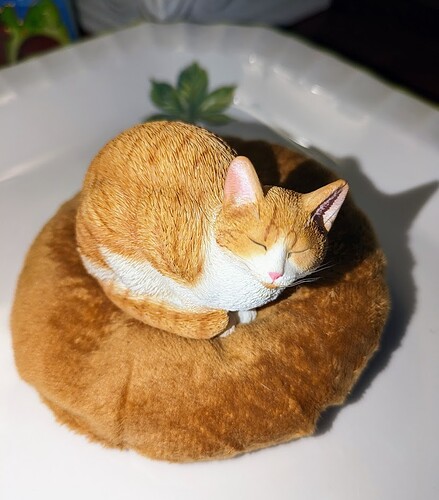 PXL_20231127_133806531