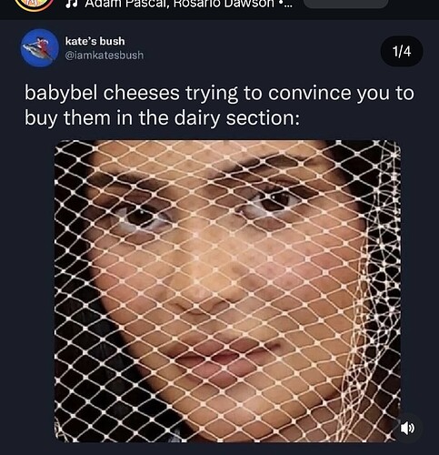 Screenshot_20260108_140830_Instagram