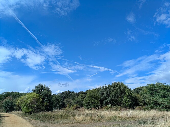 PXL_20250828_130942134