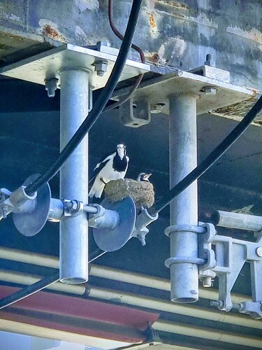 20251127_074558(0)~2