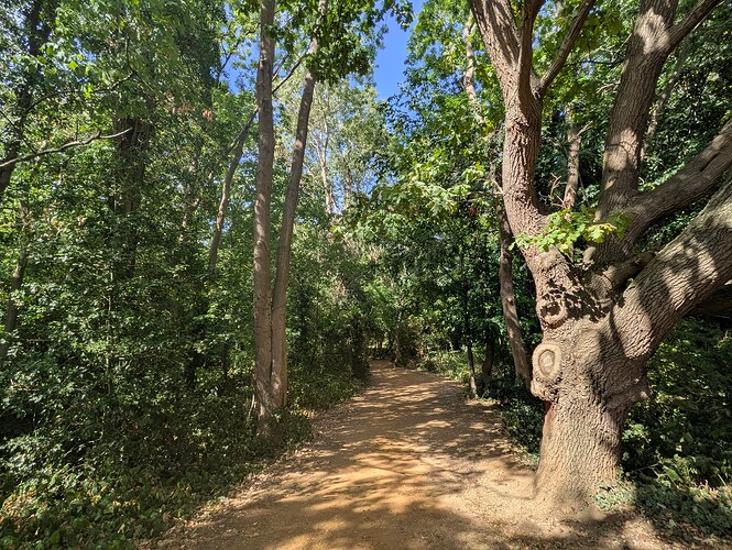 PXL_20250828_131202118