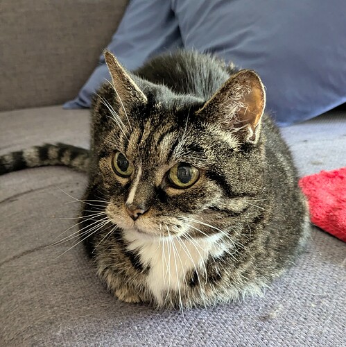 PXL_20250722_143441653~2