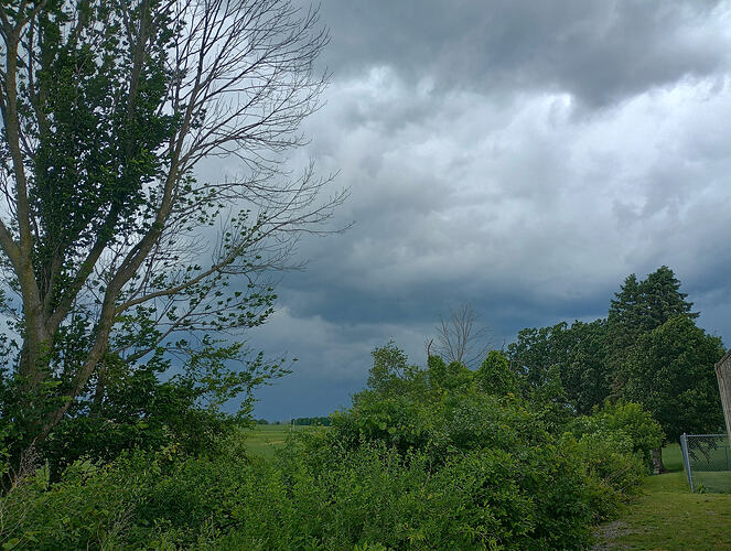 IMG_20260619_154507518_HDR
