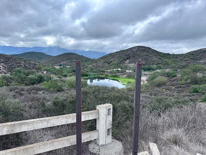 IMG_8041
