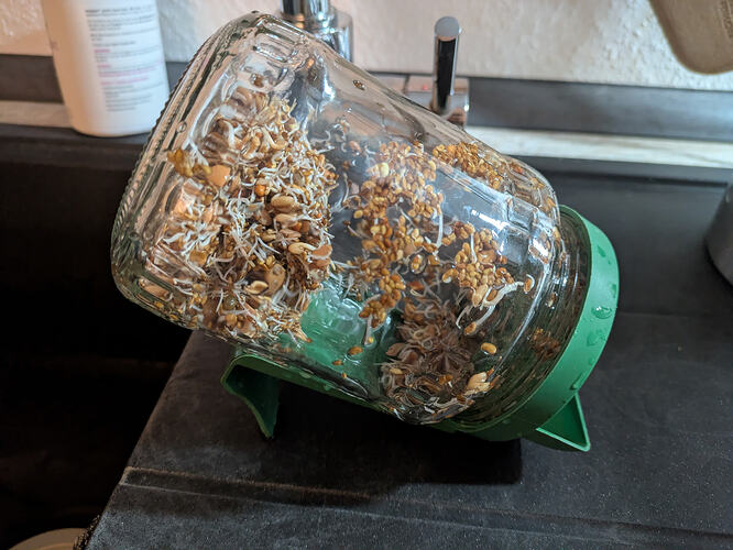 PXL_20260131_035514617