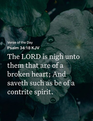 Screenshot_20251022-153958_Bible