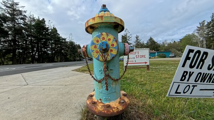 IMG_20250425_163321_00_003_2025-04-26_01-49-43_screenshot