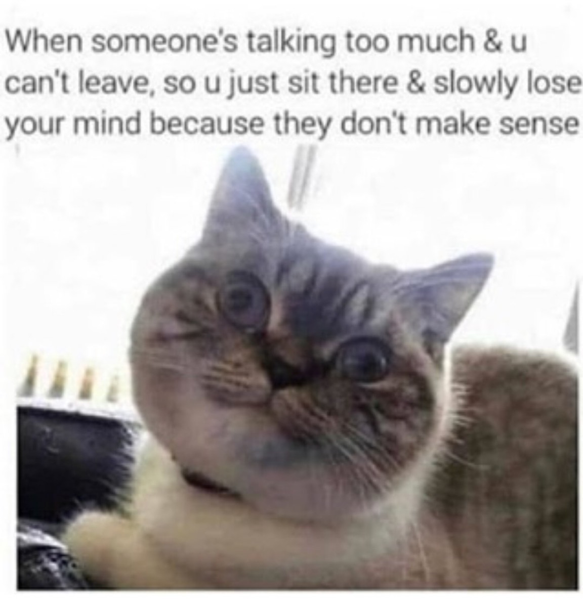 Meme Wars 58 59 60 Thanks For The Meme Ories Edition Just For Fun Talking Sober Addiction Recovery Forum Support Group