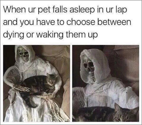 06fb100fe4f36a7922da7dfc1dfc7424