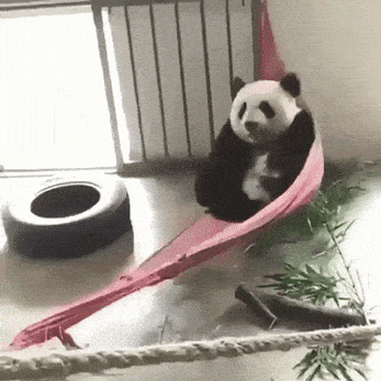 tumblr_pv328qqFyr1wu1zhco1_400