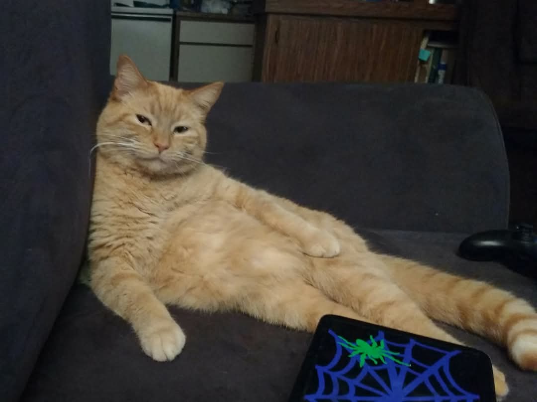 FB_IMG_1740336252389