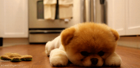 cute