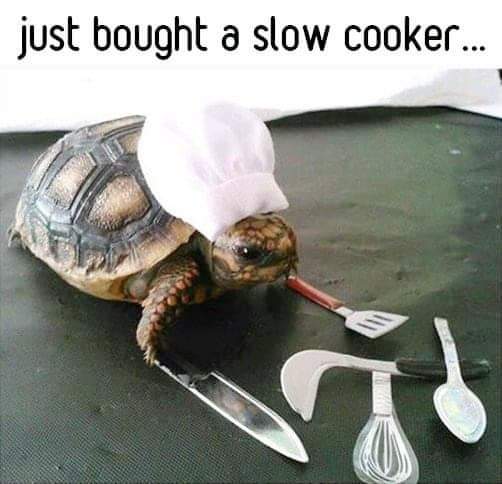 FB_IMG_1688252669530