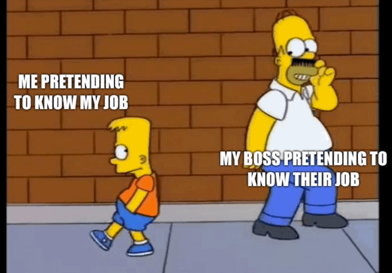 pretending-know-my-job-my-boss-pretending-know-their-job